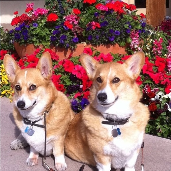 Meet your Posher - Picture 6 of 14